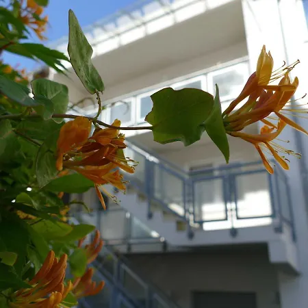 Am Seeufer 1 Objekt Id 1205 Apartment Waren (Müritz)